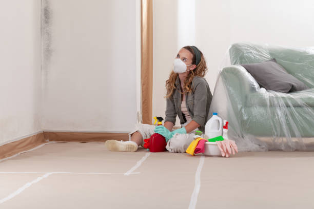 Reliable Mold Cleanup contractor in Coram, NY by Cheap Mold Removal